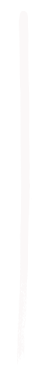 pennello.png
